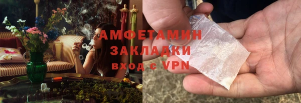 индика Абаза