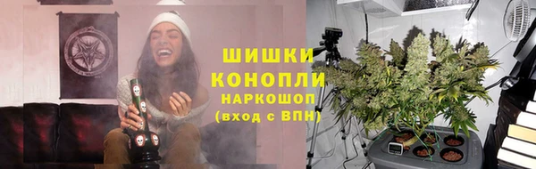 индика Абаза