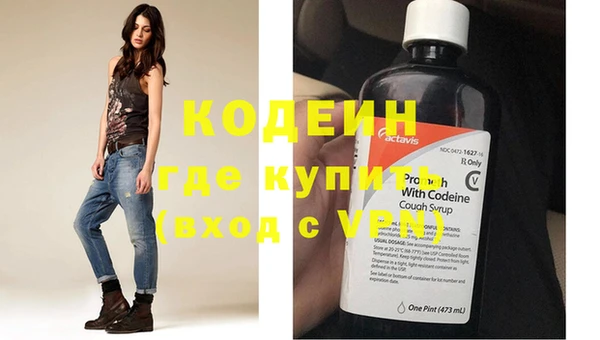 индика Абаза