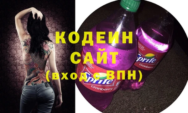 индика Абаза