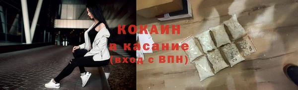 индика Абаза
