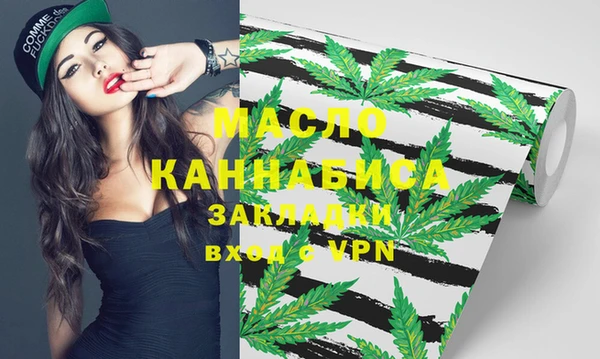 индика Абаза