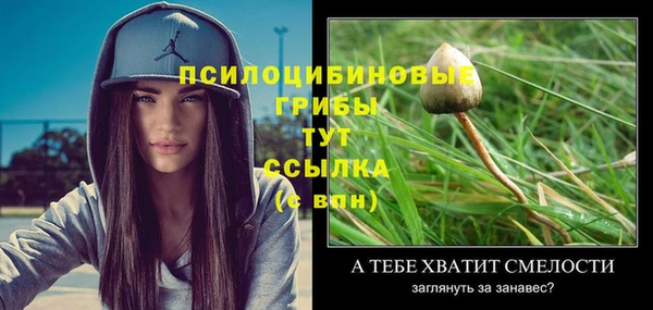 индика Абаза