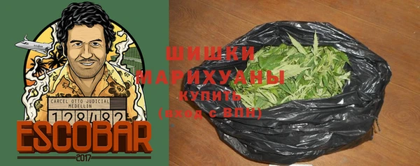 индика Абаза