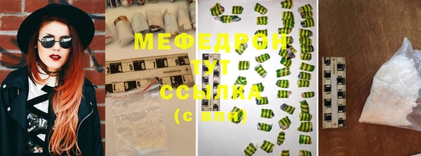 индика Абаза