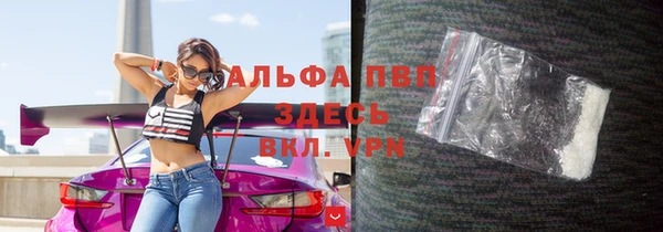 индика Абаза