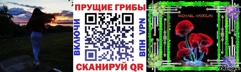 Псилоцибиновые грибы мицелий Александровск-Сахалинский
